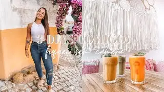 FIQUEI SEM A MINHA CÂMERA DE VLOGS | VANESSA PEREIRA