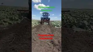 межрядковая культивация