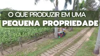 O que produzir em uma pequena propriedade rural?