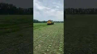 Кировец #farming #travel #shorts