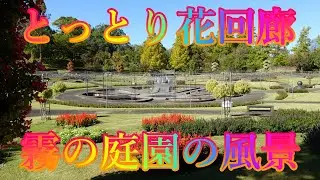 秋の香り散策 10月13日 日曜 晴れ オータムフェスティバル とっとり花回廊 霧の庭園の風景 日本 鳥取県西伯郡南部町鶴田 ジャングルドーム @WalkingYoshi
