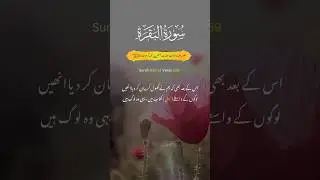 Surah Baqara Verse 159 Translation in Urdu #quran #quranrecitation #naatspk