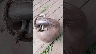 По просьбе  Человека.