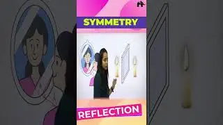 Reflection Class 7 Maths #shorts