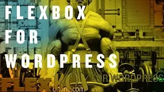 Techie Talk, Episode 13: Flexbox for WordPress, WordCamp San Diego 2017