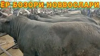 YOR BOZORI NOVVOSLARI QANCHADAN SOTILDI.