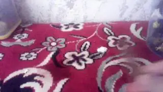 Самоделка: лего олень