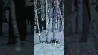 5 декабря 2023 г.