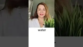 Полезные английские слова и фразы 