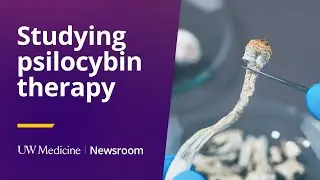 UW Medicine to lead psilocybin therapy study | UW Medicine
