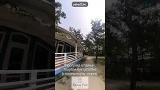 Прогулка к пляжу "Голубая бухта" с посещением парка в Институте Океанологи