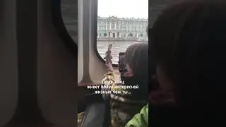 Будь как заяц! 