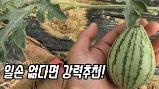 농사 잘되는 비옥한 땅을 만드려면?