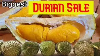 We bought 14 durians for taste testing from 2$ to 50$ Biggest Durian Sale in Singapore ! [4K - UHD]