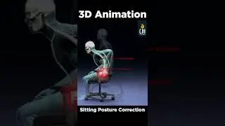 3D Animation: Pain from Sitting too long? 