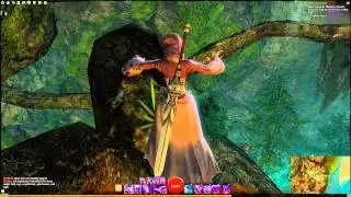Guild Wars 2: Straits Of Devastation Vista - Lightfoot Passage