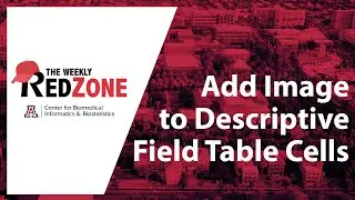 REDZone - Add Image to Descriptive Field Table Cells