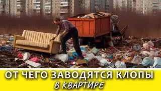 Рассказываем, как предотвратить появление клопов в вашей квартире