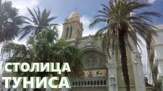 Столица Туниса - Тунис. Магазин 