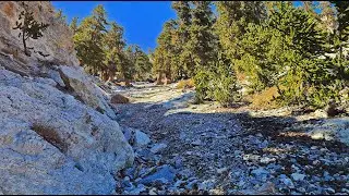 Mummy’s Forehead Summit Approach Gully Part 2 to 10,000ft | Mt Charleston Wilderness, Nevada