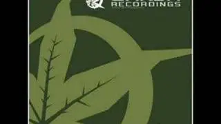 DJ Hazard - Wonkey Donkey
