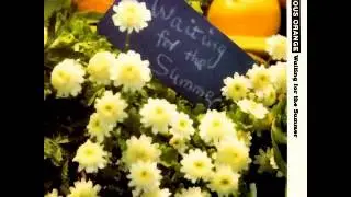 Luminous Orange - Flame Flower