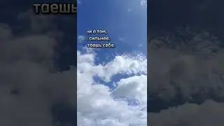 Цитата дня.