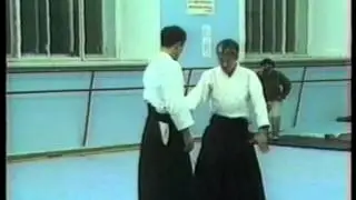 БУДО. Айкидо и Карате. Часть 33.