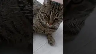 лайфхак для мужчин 