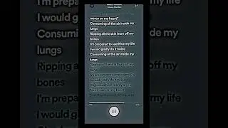 Mercy Acoustic- Shawn Mendes (lyrics cover) #edit #spotifyplaylist #lyricsvideo #shawnmendes