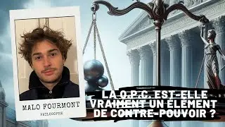 La Question Prioritaire de Constitutionnalité est-elle un élément de contre-pouvoir ?, Malo Fourmont