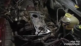 #Vectra