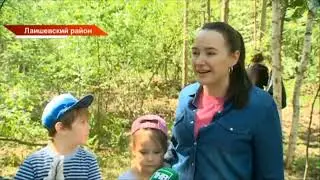 Лес в безопасности?