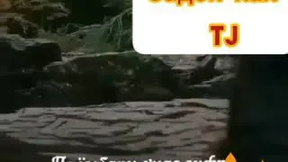 Э бандагони худо намоз хоне📿🌷📿🌷🕋🕋