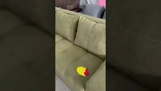 Диван Алекс 