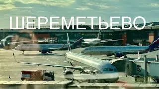 Sheremetyevo Airport: Where to eat, relax before your flight, and explore