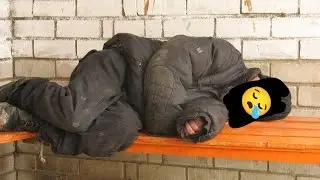 ПОРА ВСТАВАТЬ ХОЗЯИН ~ ХОЗЯИН ВСТАВАААЙ!