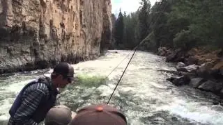 Rafting the lower Blue River