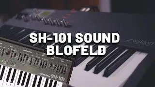 Roland SH-101 Sound with Waldorf Blofeld (No Talking) | Vintage Synth Recreation