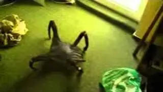 venom headcrab