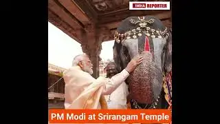 Elephant Plays Mouth Organ, Blesses PM Modi At Srirangam