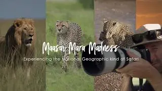 Maasai Mara Madness | Experiencing the National Geographic kind of Safari