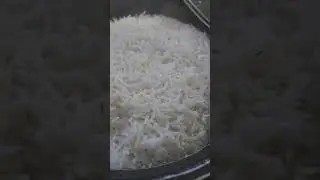 can't survive without rice #shorts  rice is Life