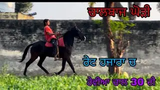 ਚਾਲ ਇੰਨੀ ਕੇ ਪਾਣੀ ਵੀ ਨੀ ਡੁਲ਼ ਸਕਦਾ ਤੇ ਰੇਟ ਹਜਾਰਾ ਚ ਬਣਜੂ
