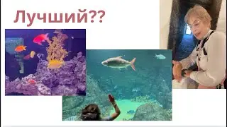 GS6918 Considered the best aquarium in the USA.