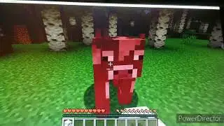 Ewees Epic World - episode 1 - minecraft - the start