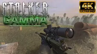 Stalker GAMMA in 4K | Sniper Gameplay | Anomaly | Mods