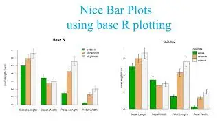How to make  and enhance barplot with data labels, error bar and legend using R programming?