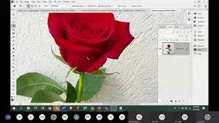 How to use the Object Selection Tool ► Photoshop CC 2020