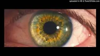 Каспийский груз - Глаза  её Глазки